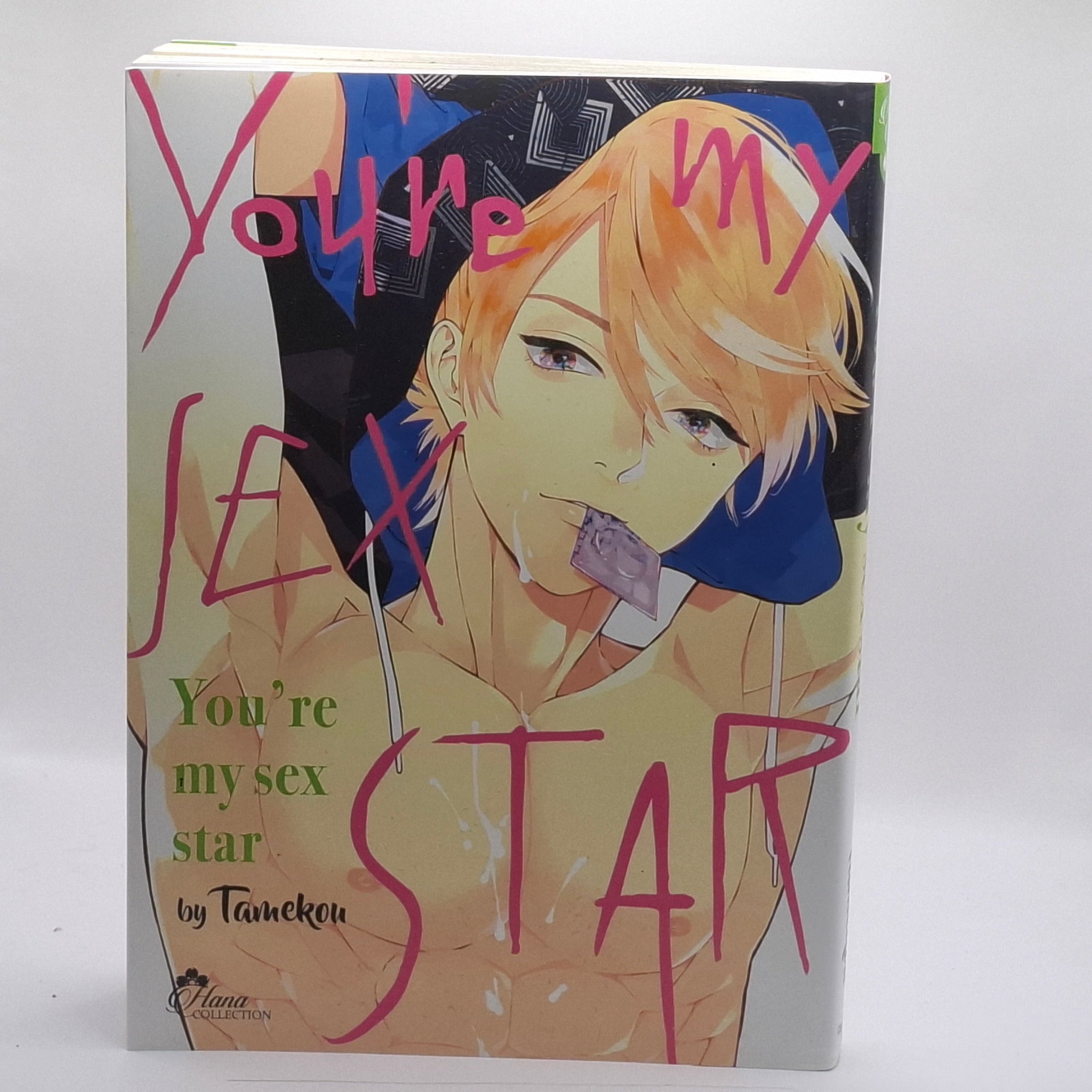You're My Sex Star - Tome 1 GOODIE'S MANIA