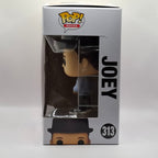 Funko Pop New Kids on the Block - Joey #313 GOODIE'S MANIA