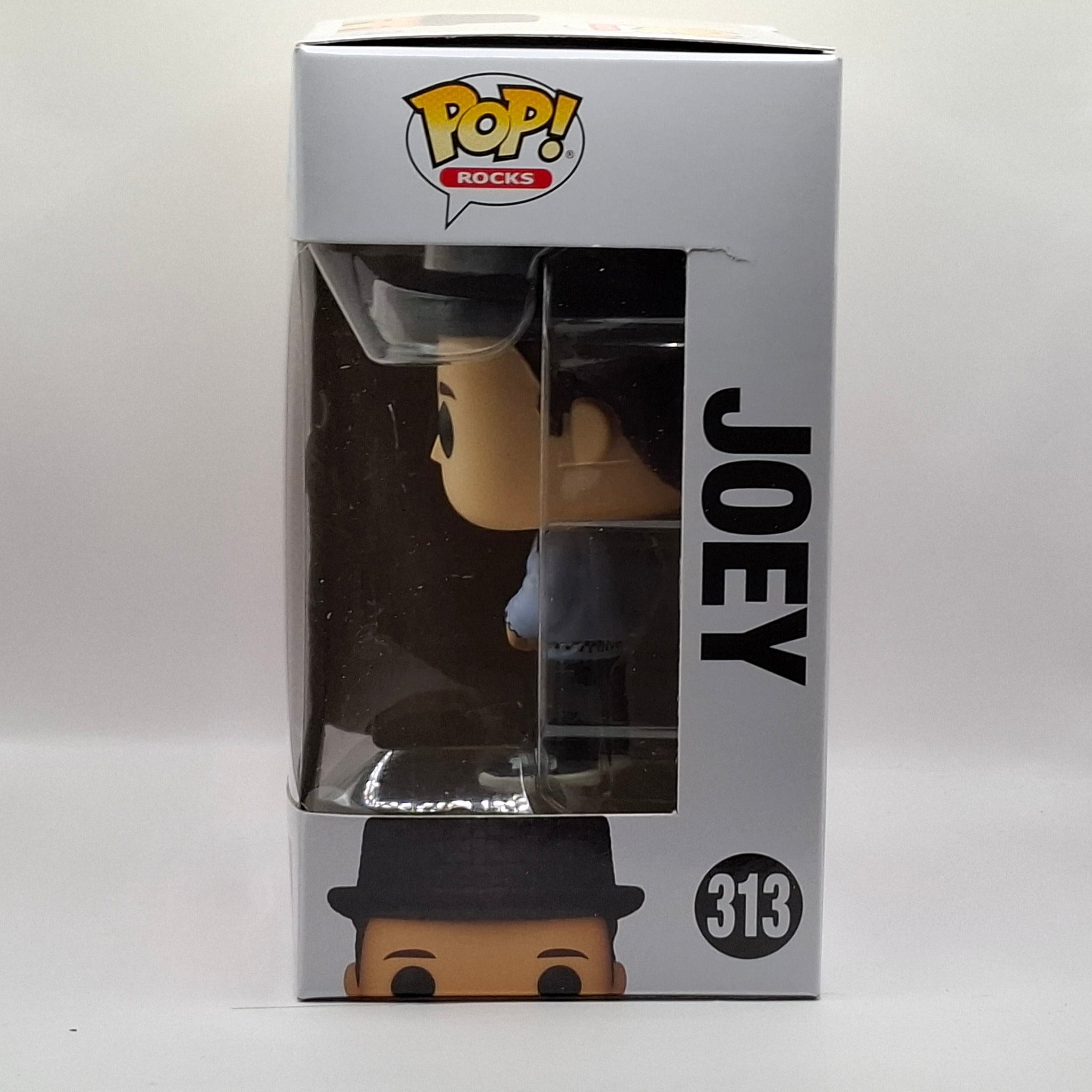 Funko Pop New Kids on the Block - Joey #313 GOODIE'S MANIA