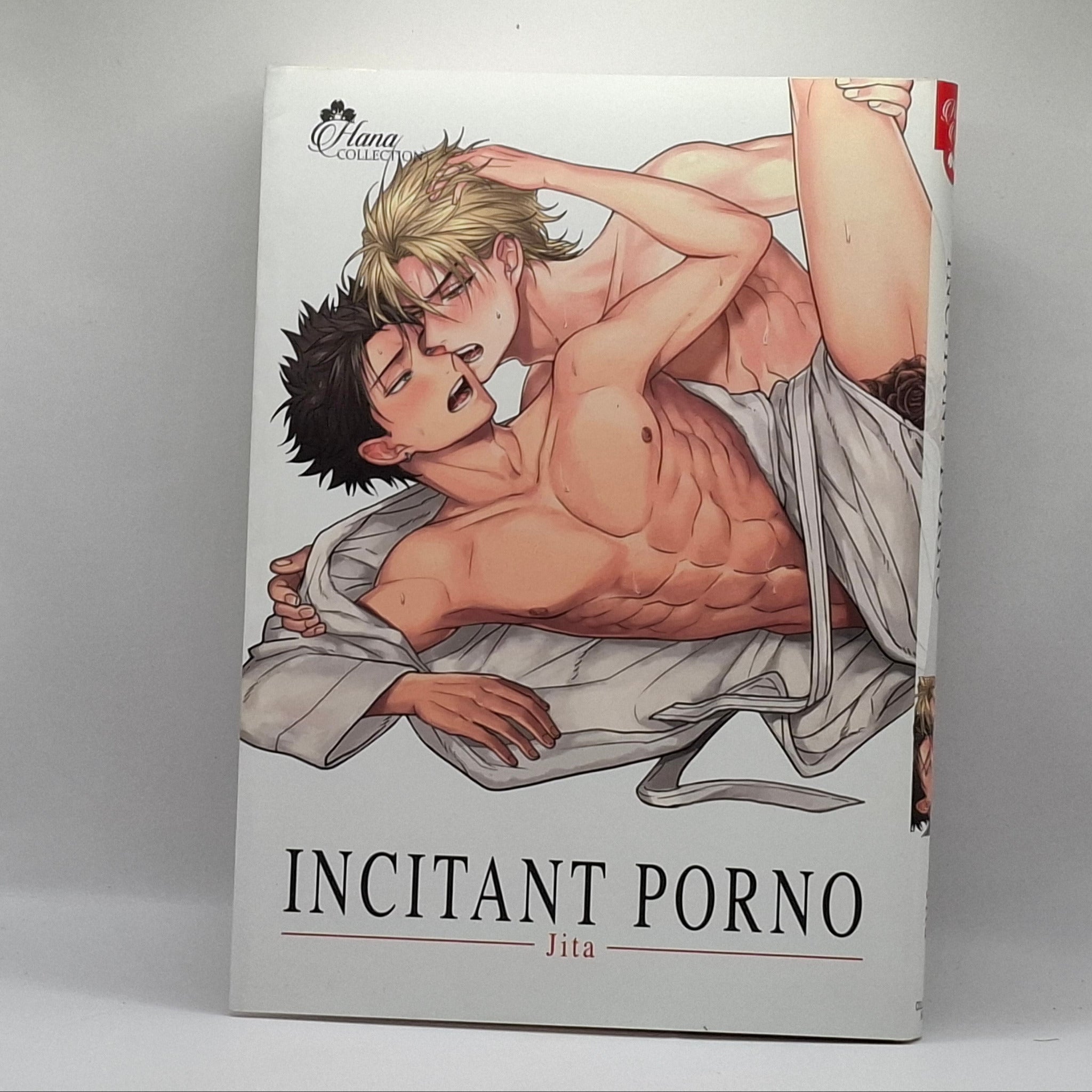Incitant Porno - Tome Unique GOODIE'S MANIA