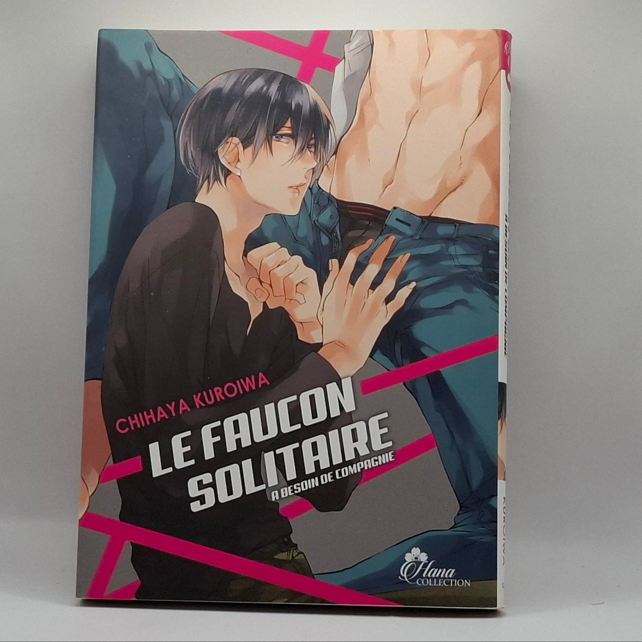 Yaoi Le Faucon Solitaire a Besoin de Compagnie - Tome Unique GOODIE'S MANIA